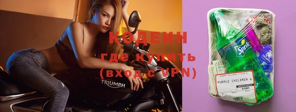 трава Аркадак