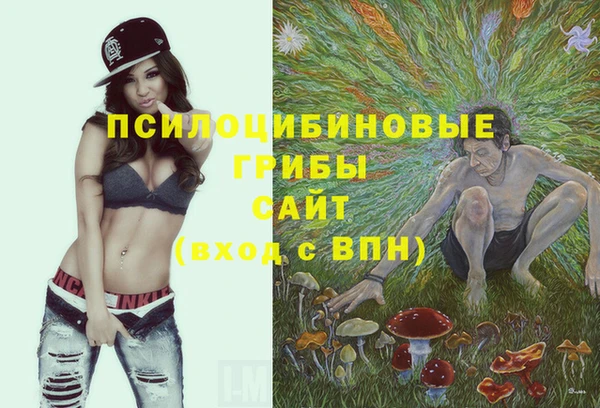 гидра Балахна