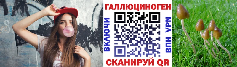 Купить закладки  Губкин  Галлюциногенные грибы мухоморы 
